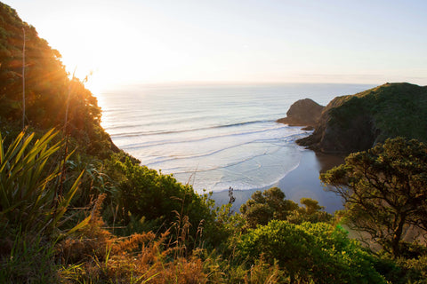 Where Sound meets Sustainability